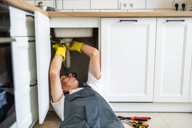 Best Drain Cleaning Services  in Farm Loop, AK