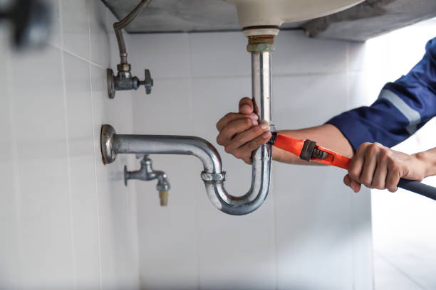Best Plumbing Inspection Services  in Farm Loop, AK